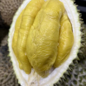 Alternative view of Mao Shan Wang / Musang King (MSW) – (800g)